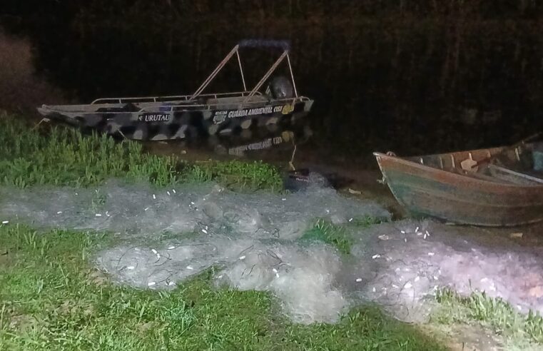 GCM AMBIENTAL APREENDE 250 METROS DE REDE NA BILLINGS E MULTA INFRATOR EM R$ 8.800 POR PESCA PREDATÓRIA EM SÃO BERNARDO