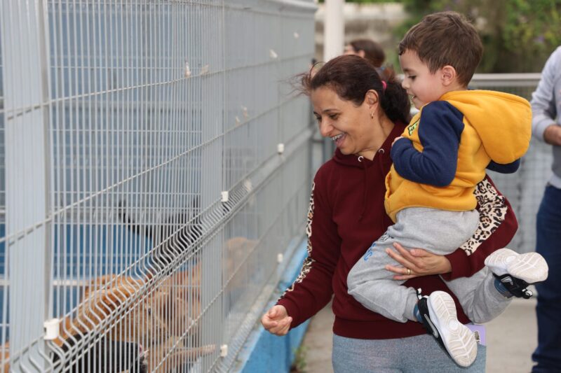 SANTO ANDRÉ TERÁ DUAS FEIRAS DE ADOÇÃO DE ANIMAIS NESTE FIM DE SEMANA
