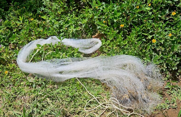 NO PARQUE SERRA DO MAR, GCM AMBIENTAL MULTA INFRATORES EM R$ 6,6 MIL POR PESCA PREDATÓRIA EM SÃO BERNARDO