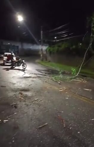 ÁRVORE CAI NA ESTRADA GALVÃO BUENO E ROMPE FIAÇÃO ELÉTRICA