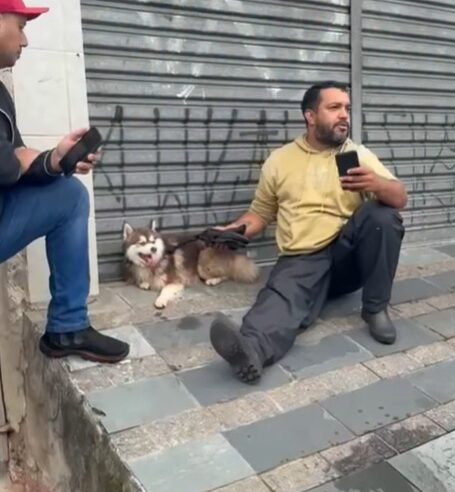 FINAL FELIZ: CACHORRO QUE ESTAVA DESAPARECIDO NO FERRAZÓPOLIS É ENCONTRADO POR MOTOBOY