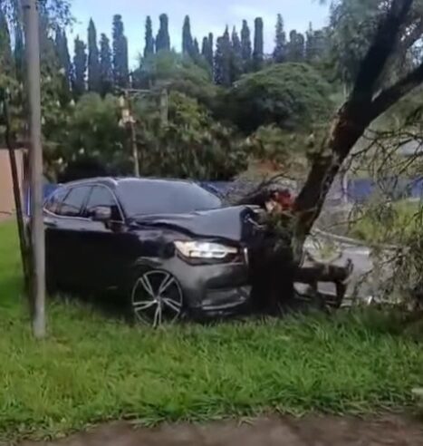 MOTORISTA PERDE O CONTROLE E BATE EM ÁRVORE NA MARIA SERVIDEI DEMARCHI