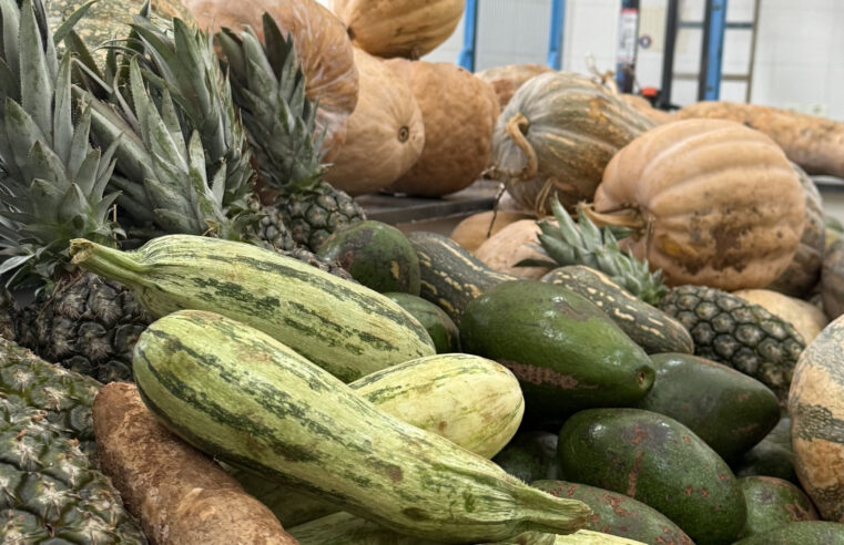 ENTIDADES SOCIAIS DE SÃO BERNARDO RECEBEM 1 TONELADA DE HORTIFRÚTIS DO BANCO DE ALIMENTOS MUNICIPAL