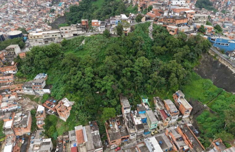 AÇÃO DE LIMPEZA DA ‘SÃO BERNARDO PROTEGE’ RETIRA 10 TONELADAS DE LIXO DE TALUDE NO ALTO DA BELA VISTA