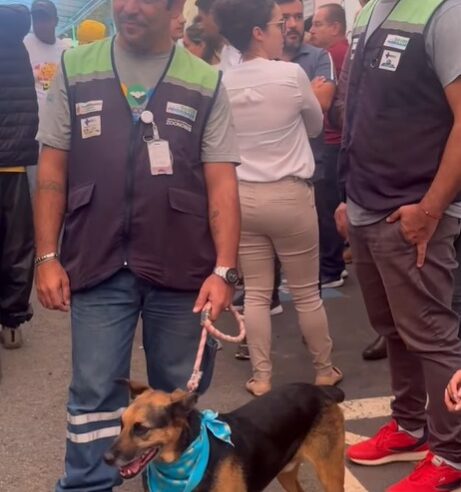 HOSPITAL VETERINÁRIO MUNICIPAL TERÁ ATENDIMENTO 24 HORAS E CARRETA MÓVEL EM SÃO BERNARDO