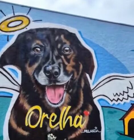 MURAL EM HOMENAGEM AO CÃO ORELHA EMOCIONA NO TABOÃO, EM SÃO BERNARDO
