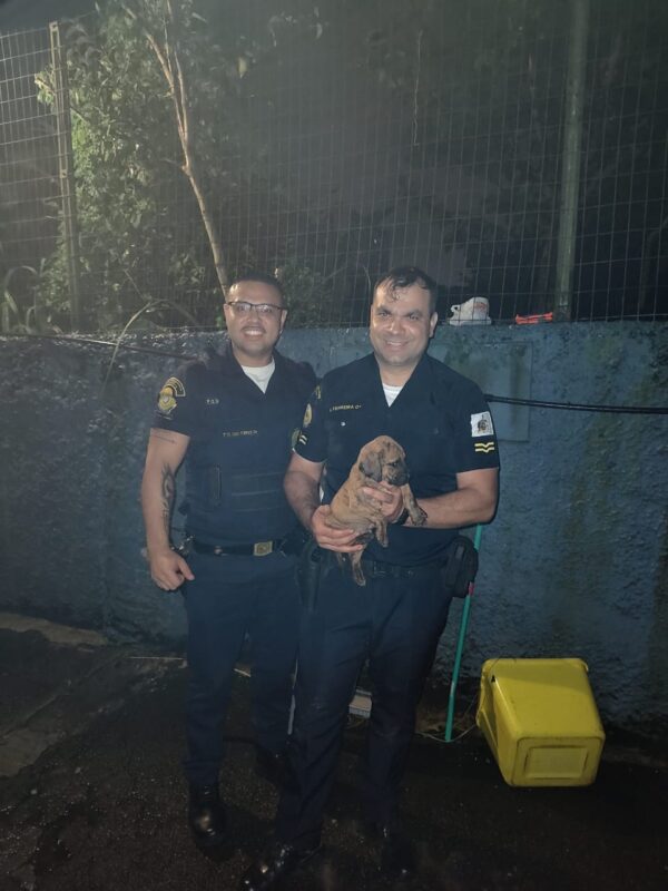 GCM RESGATA FILHOTE ABANDONADO EM TERRENO BALDIO NO ASSUNÇÃO