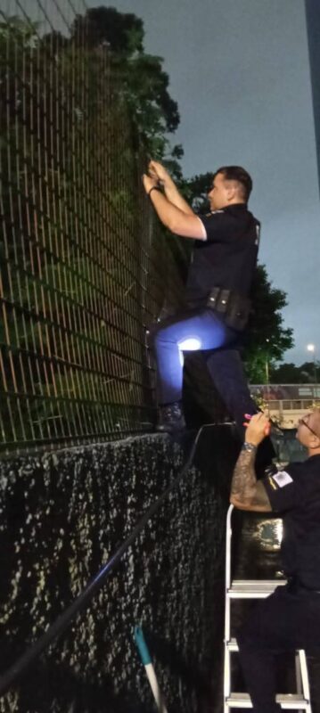 GCM RESGATA FILHOTE ABANDONADO EM TERRENO BALDIO NO ASSUNÇÃO