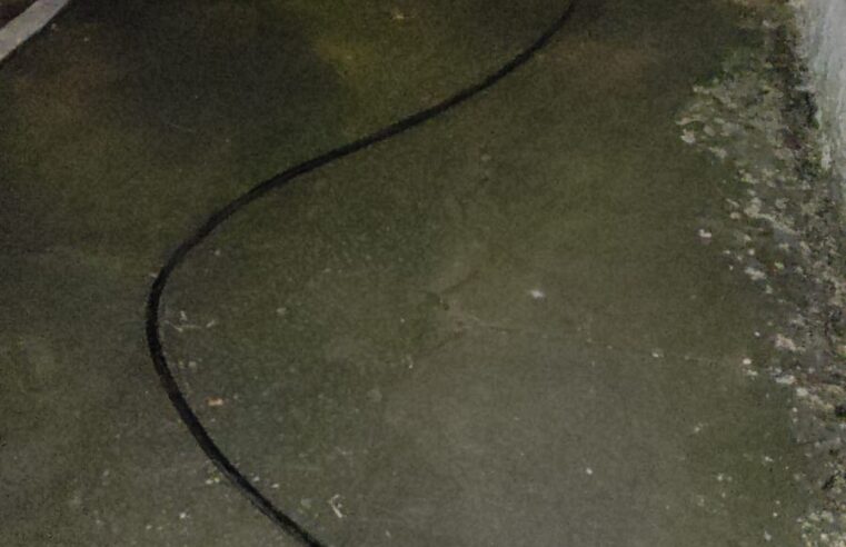 VIDEOMONITORAMENTO DA GCM FLAGRA TENTATIVA DE FURTO, E HOMEM É PRESO NO BAETA NEVES