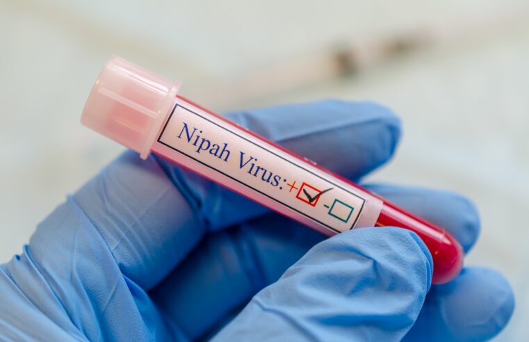 VÍRUS NIPAH EM CRIANÇAS: RISCOS, SINTOMAS E FORMAS DE PREVENÇÃO
