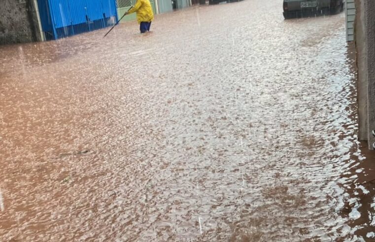 APÓS TEMPORAL, PREFEITURA DIZ QUE EQUIPES ESTÃO NAS RUAS ATUANDO EM SÃO BERNARDO