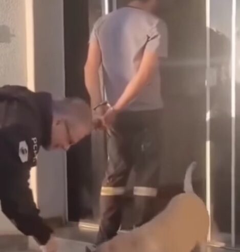 DELEGADO INTERROMPE CONDUÇÃO DE PRESO PARA CUMPRIMENTAR CACHORRINHA COMUNITÁRIA E CENA VIRALIZA