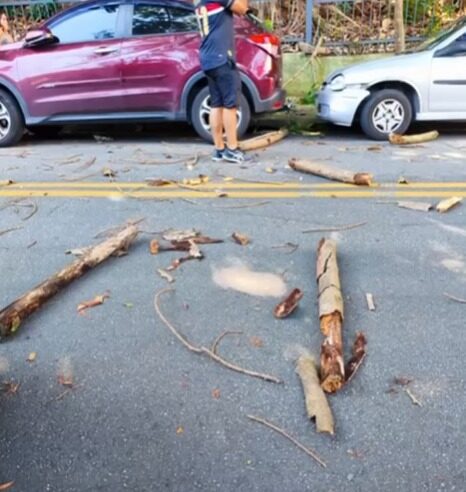 VÍDEO: PARTE DE ÁRVORE DA CIDADE DA CRIANÇA CAI, ATINGE E DANIFICA TRÊS VEÍCULOS