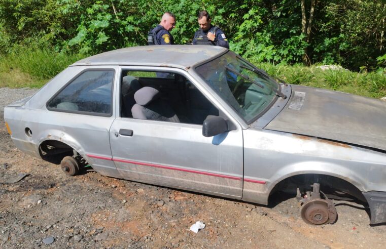 ESCORT HOBBY FURTADO É LOCALIZADO NO PARQUE IMIGRANTES E DEVOLVIDO AO DONO EM SÃO BERNARDO