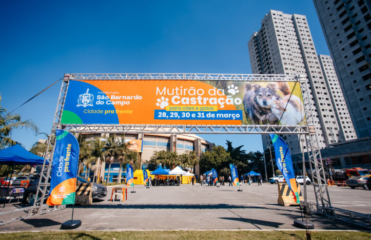 PREFEITURA DE SÃO BERNARDO INICIA MUTIRÃO DE CASTRAÇÃO GRATUITA DE CÃES E GATOS NESTE SÁBADO