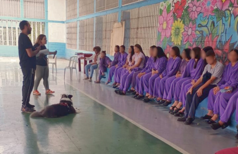 JOVENS DA FUNDAÇÃO CASA DE DIADEMA APRENDEM SOBRE ADESTRAMENTO E COMPORTAMENTO CANINO