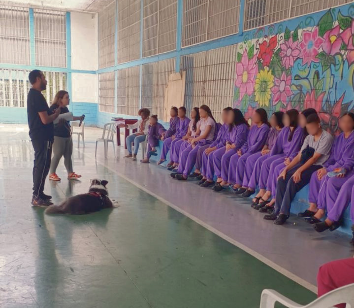 JOVENS DA FUNDAÇÃO CASA DE DIADEMA APRENDEM SOBRE ADESTRAMENTO E COMPORTAMENTO CANINO