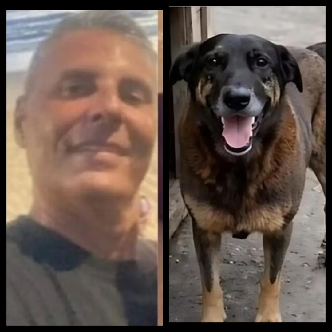 INVESTIGADO POR COAÇÃO NO CASO “CÃO ORELHA” MORRE APÓS INFARTO EM FLORIANÓPOLIS