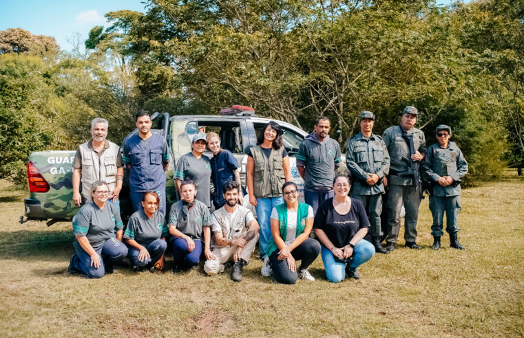 SÃO BERNARDO FORTALECE PROTEÇÃO À FAUNA COM REABILITAÇÃO E SOLTURA DE AVES SILVESTRES, INCLUINDO ESPÉCIE AMEAÇADA DE EXTINÇÃO