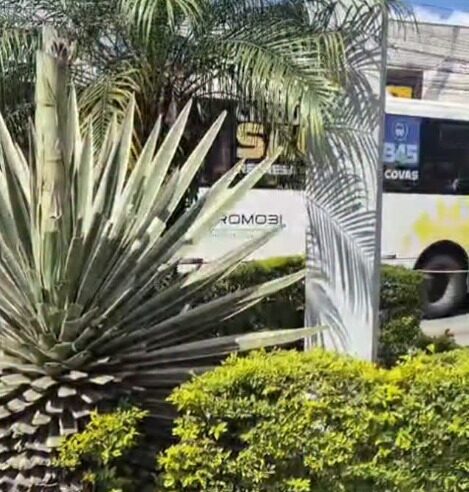 BODE E GALINHAS MORTOS SÃO ENCONTRADOS EM FRENTE A BANCO E CASO REVOLTA MORADORES EM SANTO ANDRÉ