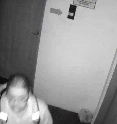 CÂMERA DE SEGURANÇA FLAGRA ABANDONO DE GATO EM UMA SACOLA NO BAIRRO DOS CASAS, EM SÃO BERNARDO