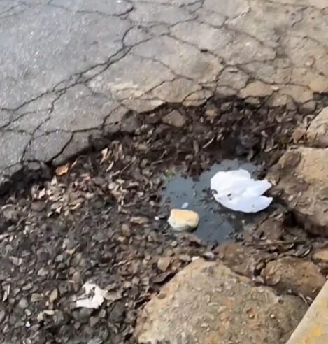 MORADORES DENUNCIAM BURACOS EM RUA PERTO DO SALVADOR ARENA; PREFEITURA AVALIA REPAROS