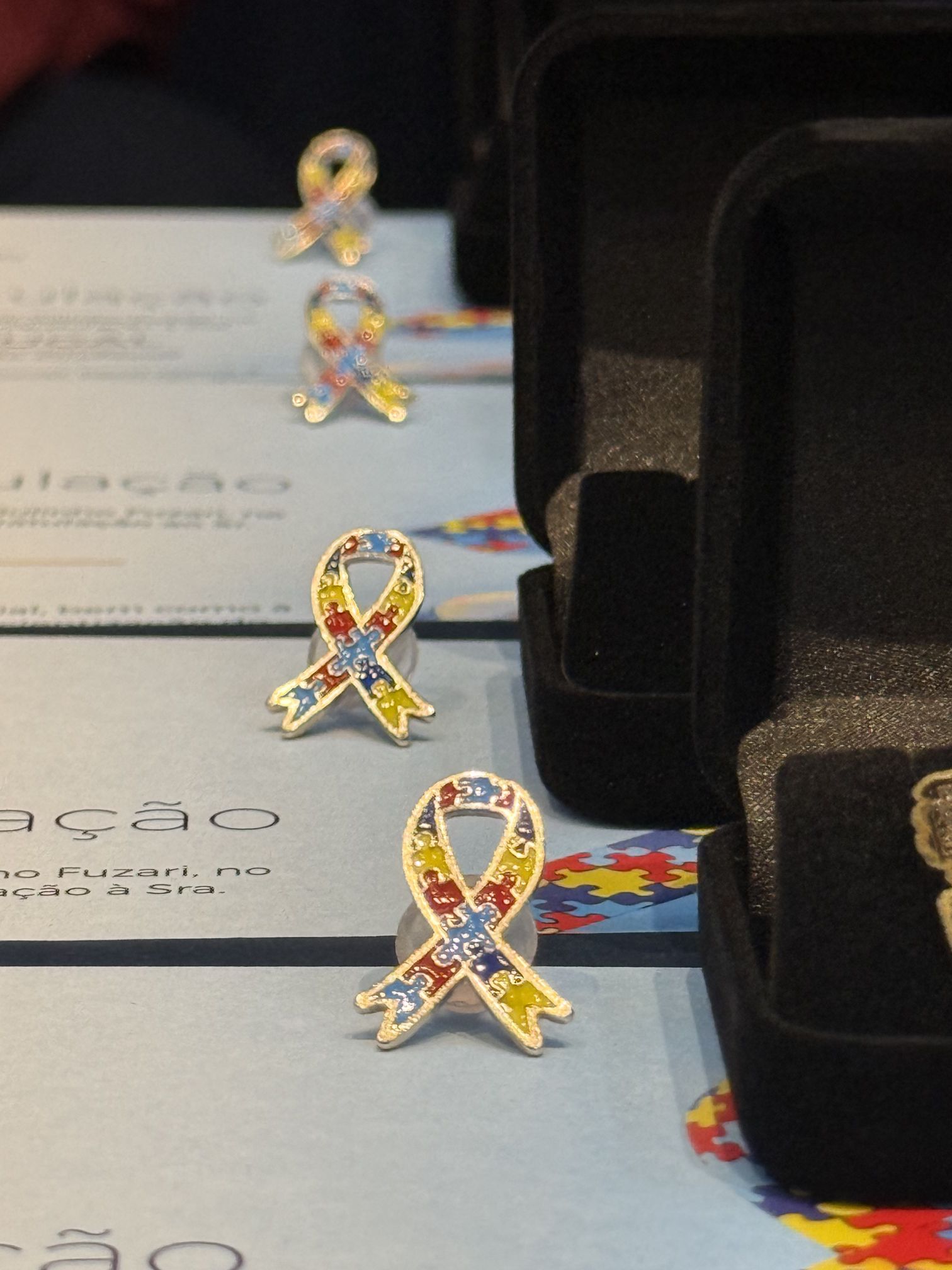 S&Aacute;BADO &Eacute; MARCADO POR INCLUS&Atilde;O E RE&Uacute;NE MAIS DE 1.000 PESSOAS NO PA&Ccedil;O DE S&Atilde;O BERNARDO