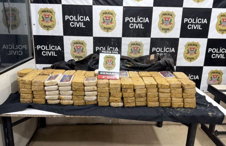 COCAÍNA CAMUFLADA COM ESTERCO E NAFTALINA É APREENDIDA PELA POLÍCIA CIVIL; DESTINO ERA SÃO BERNARDO DO CAMPO