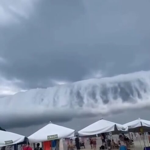 LITORAL: NÚVEM DE PRATELEIRA CHAMA ATENÇÃO NA RIVIERA DE SÃO LOURENÇO
