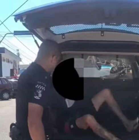 VEJA O MOMENTO EM QUE CRIMINOSO QUE ABUSOU DA PRÓPRIA TIA É PRESO EM DIADEMA