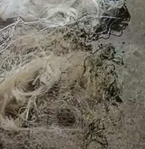 GCM AMBIENTAL DESMONTA RANCHO USADO PARA PESCA E CAÇA IRREGULAR ÀS MARGENS DA BILLINGS