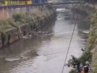 MOTORISTA QUE MORREU AO CAIR COM CARRO EM RIO NA AV. DO ESTADO É DE SÃO BERNARDO E ESTAVA A CAMINHO DA FEIRINHA DA MADRUGADA PARA TRABALHAR​
