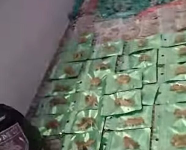 GCM PRENDE DOIS HOMENS POR TRÁFICO DE DROGAS DURANTE OPERAÇÃO EM SÃO BERNARDO