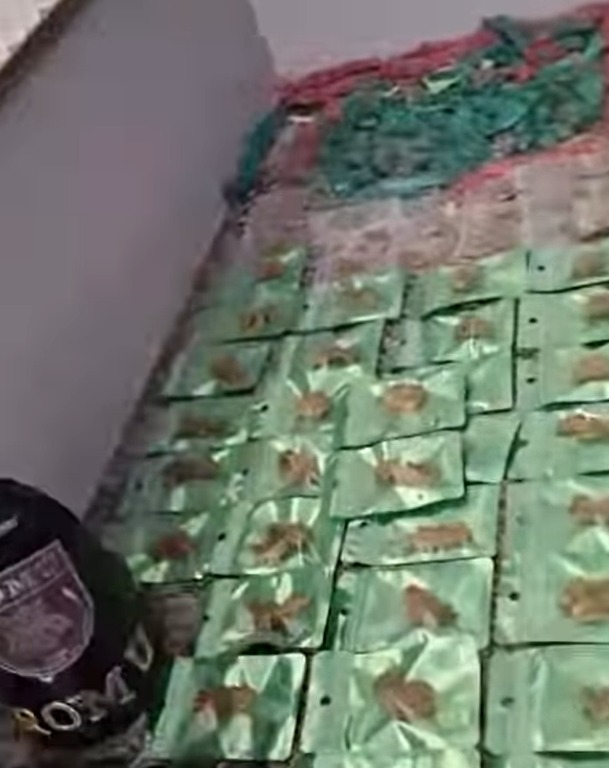 GCM PRENDE DOIS HOMENS POR TRÁFICO DE DROGAS DURANTE OPERAÇÃO EM SÃO BERNARDO