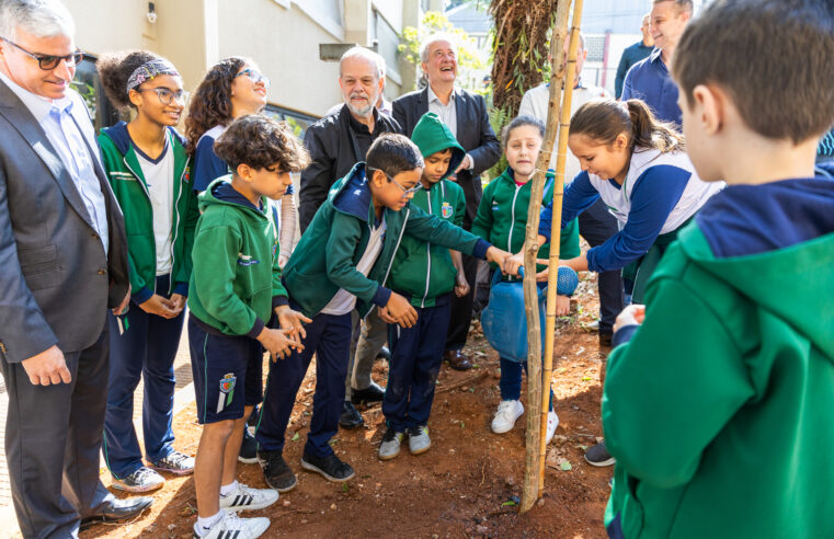 SÃO CAETANO E ENEL FECHAM PARCERIA VISANDO PLANTIO DE MAIS DE 100 ÁRVORES NA CIDADE