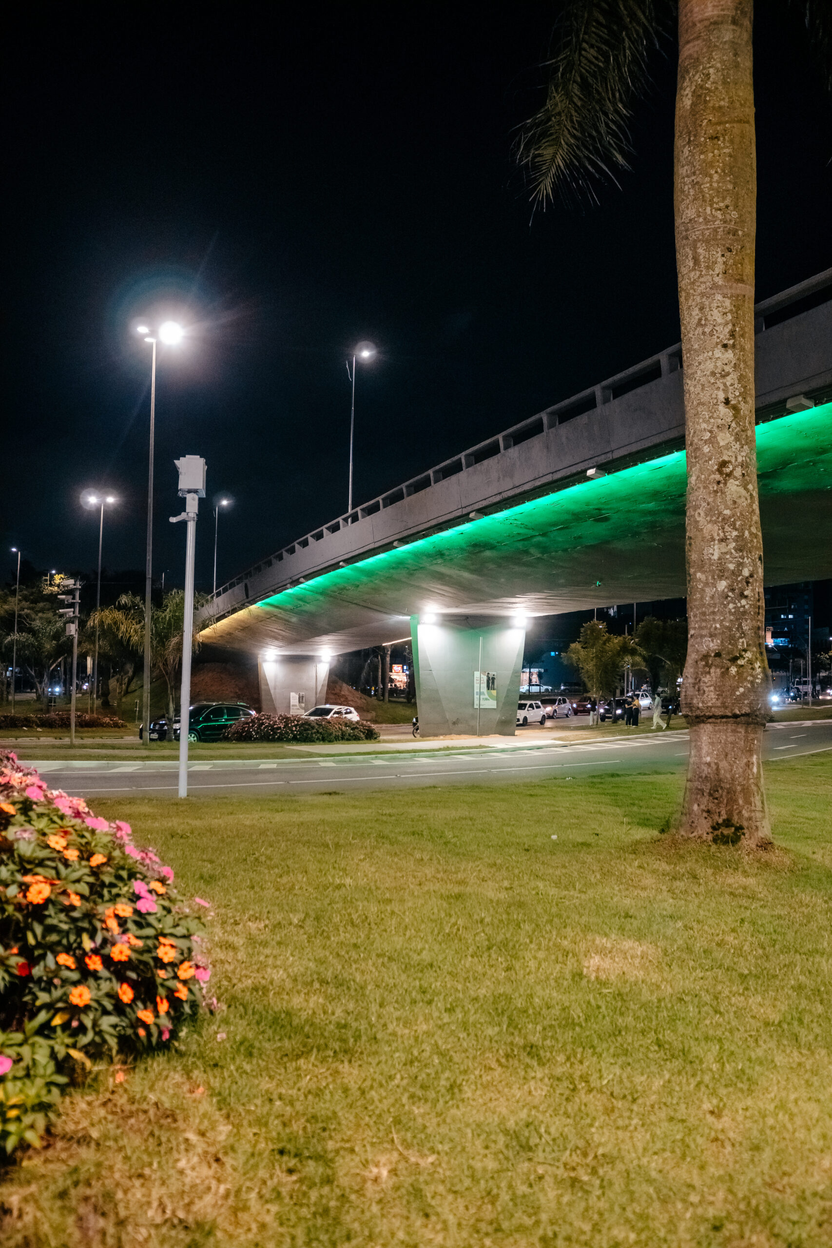 SÃO BERNARDO ILUMINA VIADUTOS E PAÇO MUNICIPAL COM AS CORES DO BRASIL E AMPLIA PROGRAMAÇÃO ESPECIAL PARA A COPA DO MUNDO 2026