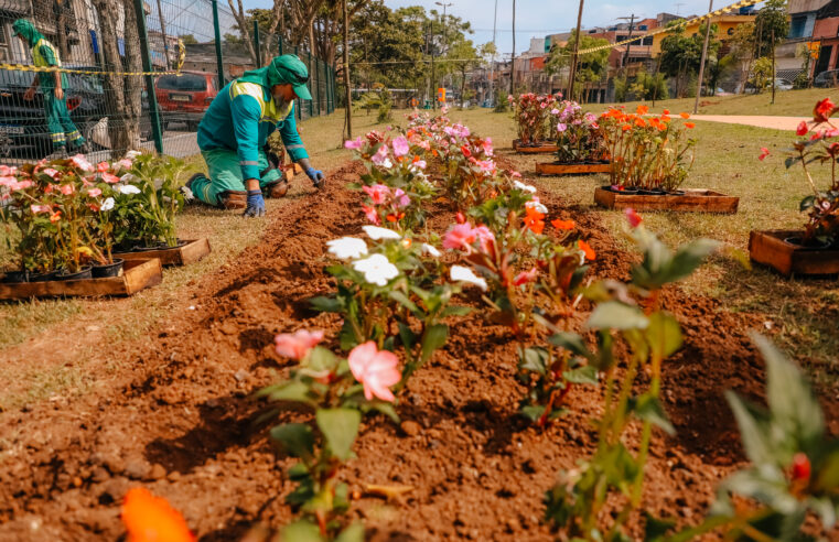 EM SÃO BERNARDO, PROGRAMAÇÃO DO ‘JUNHO VERDE’ TERÁ PLANTIO DE MUDAS NATIVAS NO TABOÃO NESTE SÁBADO