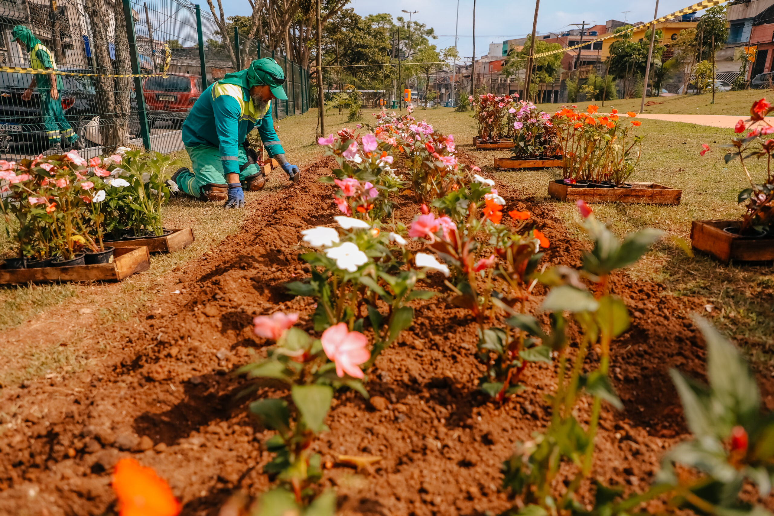 EM SÃO BERNARDO, PROGRAMAÇÃO DO ‘JUNHO VERDE’ TERÁ PLANTIO DE MUDAS NATIVAS NO TABOÃO NESTE SÁBADO