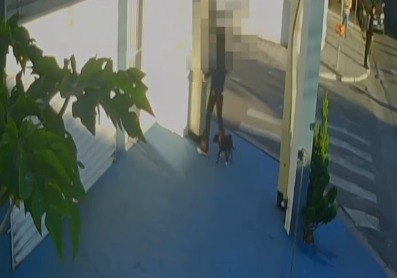 ABANDONO EM PLENA LUZ DO DIA: FILHOTE É AMARRADO EM FRENTE A CLÍNICA VETERINÁRIA EM SÃO BERNARDO