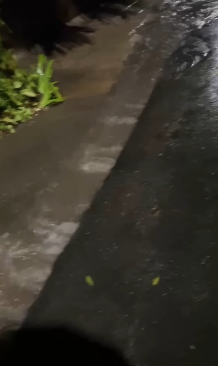 ÁGUA BROTANDO NO ASFALTO? MORADORES DENUNCIAM VAZAMENTO NO PARQUE RIO GRANDE, EM SÃO BERNARDO