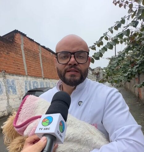POODLE ATROPELADO NA ESTRADA DOS ALVARENGAS É RESGATADO EM SÃO BERNARDO; VETERINÁRIO E VEREADOR SUSPEITA DE ABANDONO