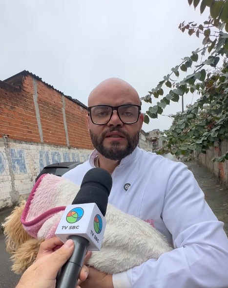 POODLE ATROPELADO NA ESTRADA DOS ALVARENGAS É RESGATADO EM SÃO BERNARDO; VETERINÁRIO E VEREADOR SUSPEITA DE ABANDONO