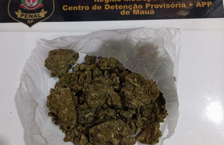POLICIAIS PENAIS DOS CDPS DE MAUÁ E DE SANTO ANDRÉ IMPEDEM A ENTRADA DE VISITANTES QUE TENTAVAM LEVAR DROGAS PARA DENTRO DOS ESTABELECIMENTOS PENAIS