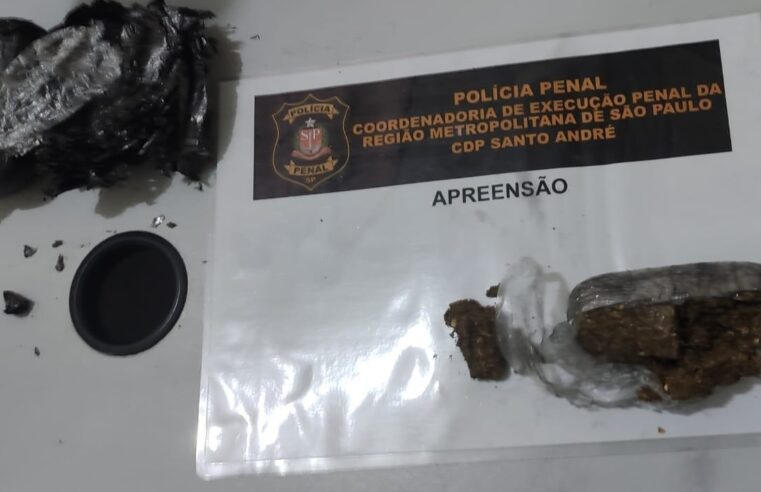 POLICIAIS PENAIS DO CDP DE SANTO ANDRÉ IMPEDEM A ENTRADA DE VISITANTE QUE TENTAVA LEVAR DROGA PARA O COMPANHEIRO PRESO