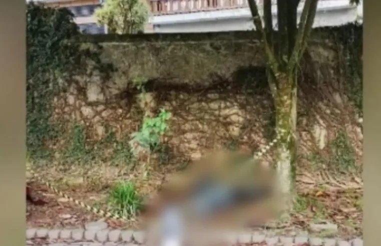 CORPO DE MULHER É ENCONTRADO AMARRADO E ENVOLTO EM SACOS DE LIXO EM ESTACIONAMENTO DA UBS DA MATA VIRGEM, NA DIVISA DE SP E DIADEMA