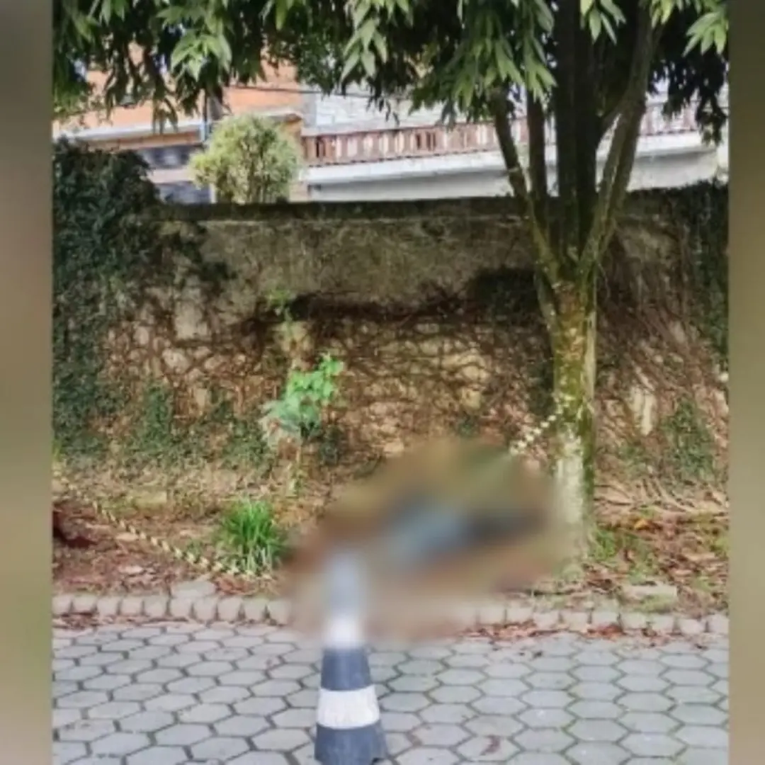 CORPO DE MULHER É ENCONTRADO AMARRADO E ENVOLTO EM SACOS DE LIXO EM ESTACIONAMENTO DA UBS DA MATA VIRGEM, NA DIVISA DE SP E DIADEMA