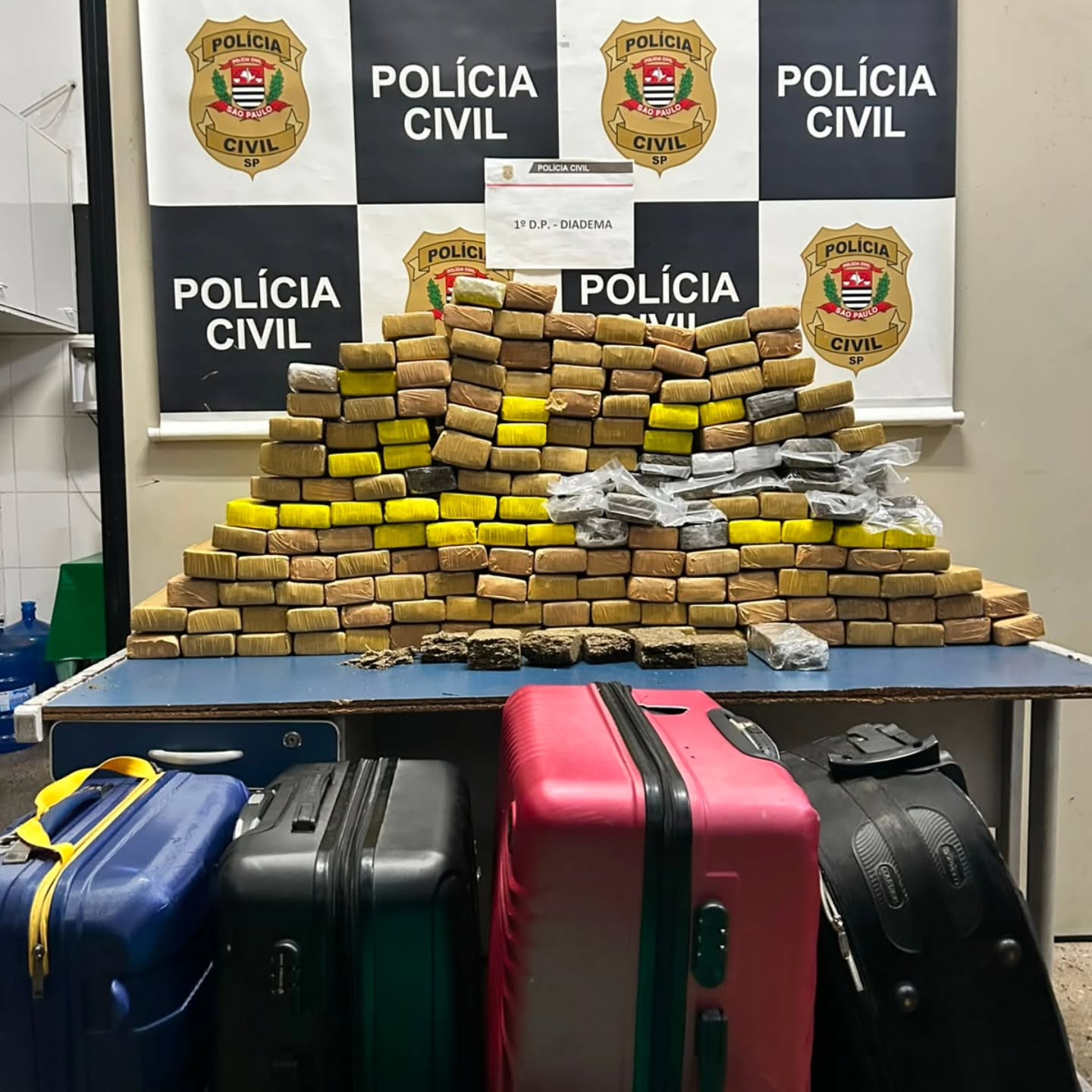 POLÍCIA CIVIL APREENDE MAIS DE 160 KG DE MACONHA E PRENDE SUSPEITO EM DIADEMA