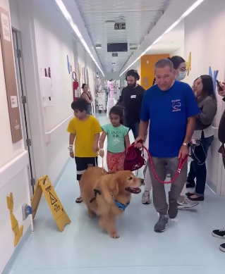 PACIENTES DO HOSPITAL DE URGÊNCIA DE SÃO BERNARDO RECEBEM VISITA DE CÃES TERAPEUTAS