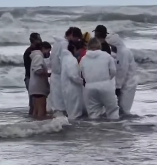 GOLFINHO É ENCONTRADO DEBILITADO NA PRAIA E MOBILIZA RESGATE EM PRAIA GRANDE