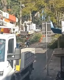 ALERTA DE TRÂNSITO: ENEL REALIZA PODA DE ÁRVORE E INTERDITA UMA FAIXA NA RUA MUNICIPAL